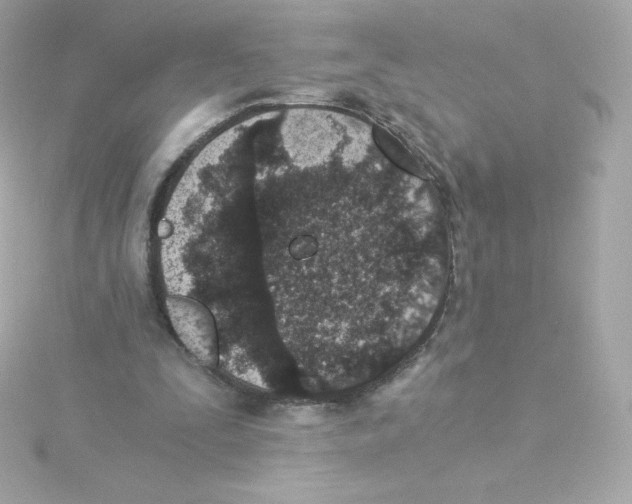 X0000115260295200911271931