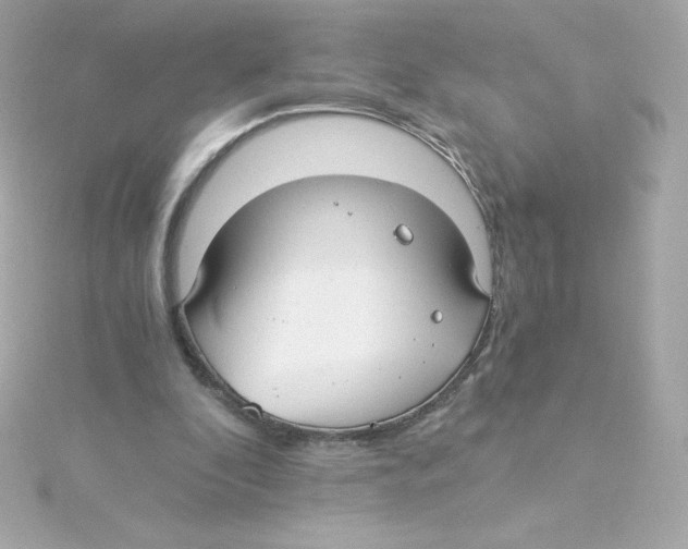 X0000115260296200911271931