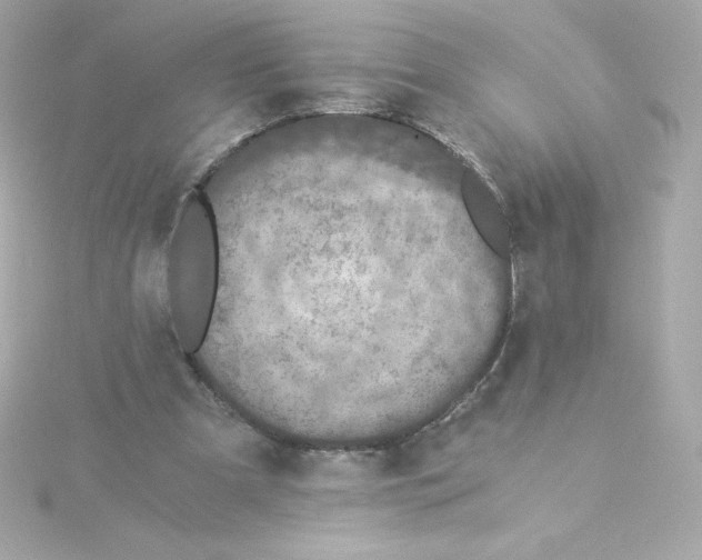 X0000115260297200911271931