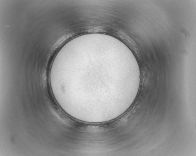 X0000115260298200911271931