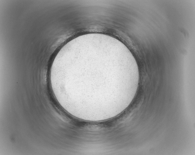 X0000115260299200911271931