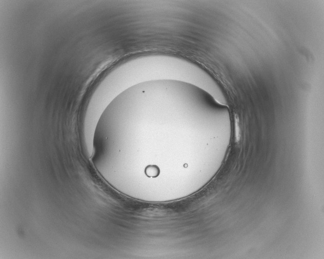 X0000115260300200911271931