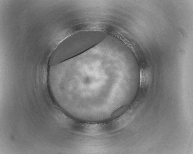 X0000115260301200911271931