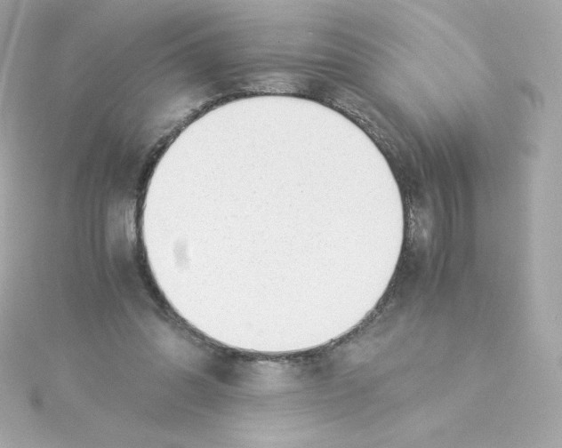 X0000115260302200911271931