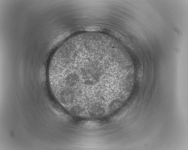 X0000115260303200911271931