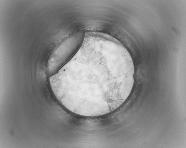 X0000115260305200911271931