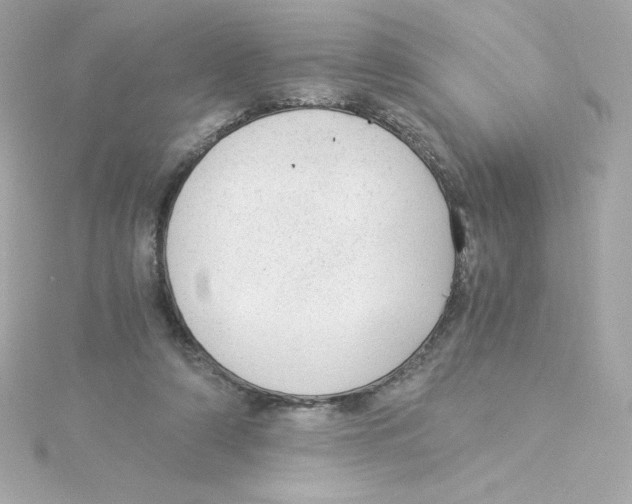 X0000115260306200911271931