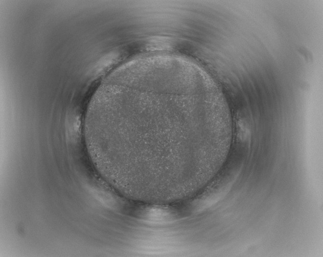 X0000115260308200911271931