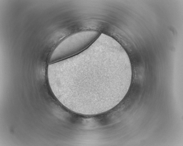 X0000115260309200911271931