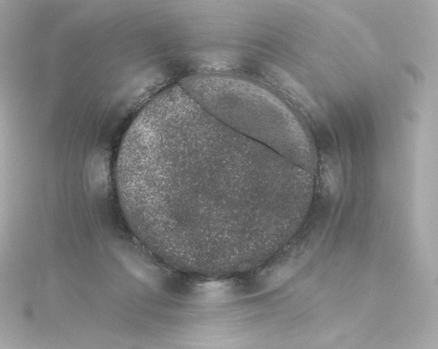 X0000115260312200911271931