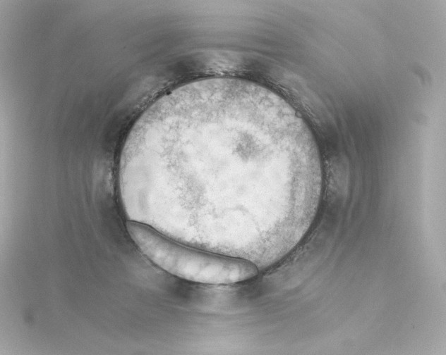 X0000115260313200911271931