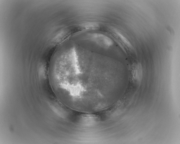 X0000115260316200911271931