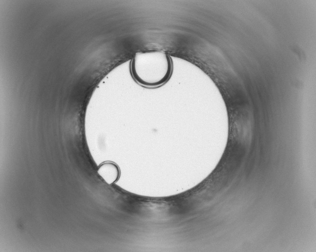 X0000115260317200911271931