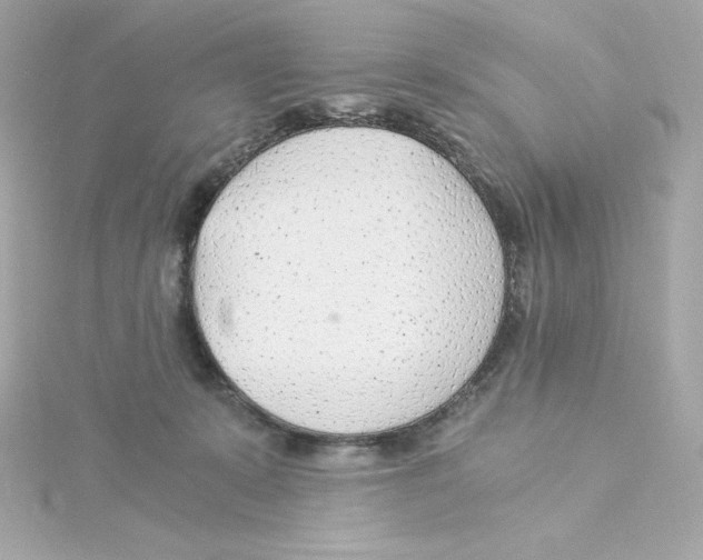 X0000115260319200911271931