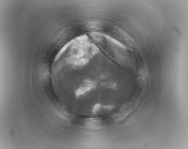 X0000115260320200911271931