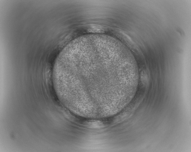 X0000115260322200911271931