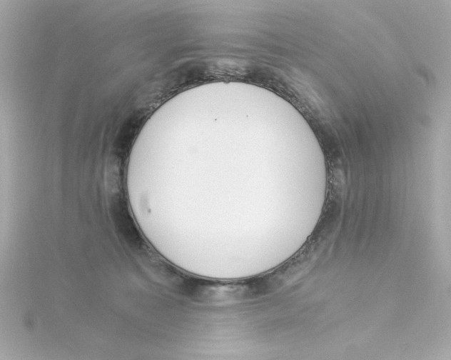 X0000115260323200911271931