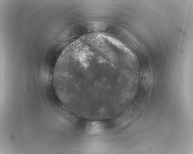 X0000115260324200911271931