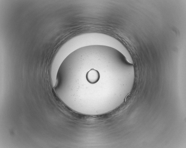 X0000115260325200911271931