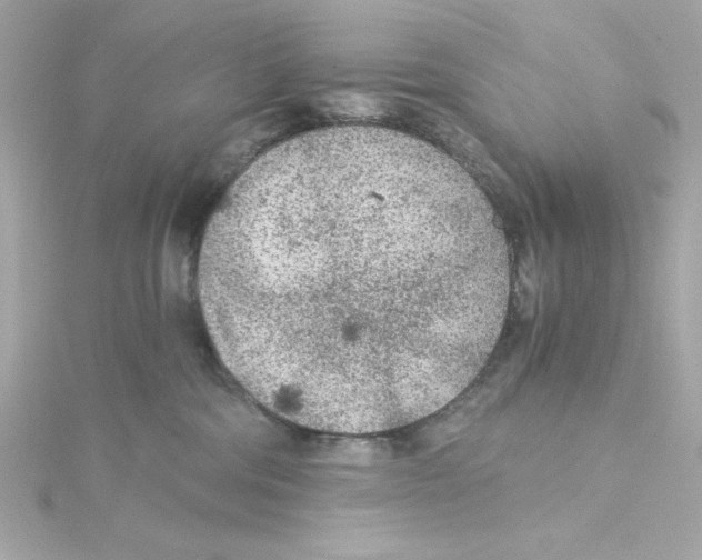 X0000115260330200911271930