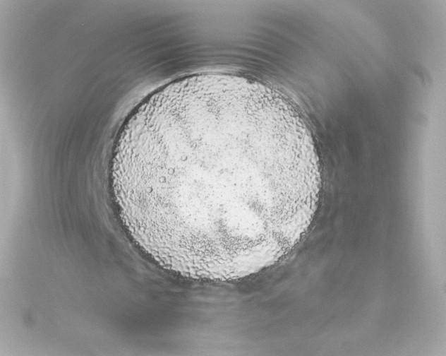 X0000115260337200911271930