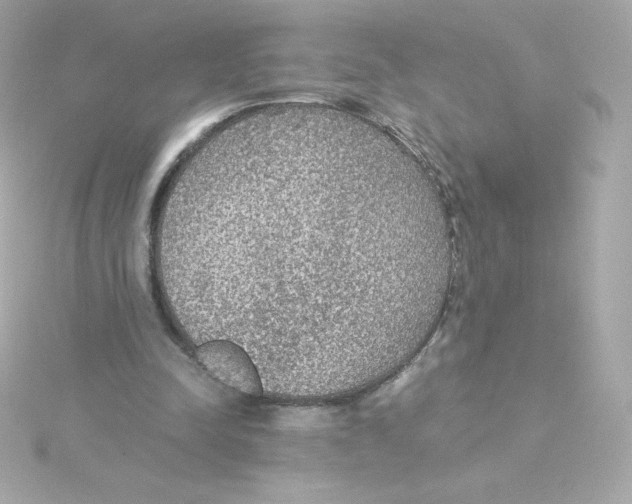 X0000115260342200911271930