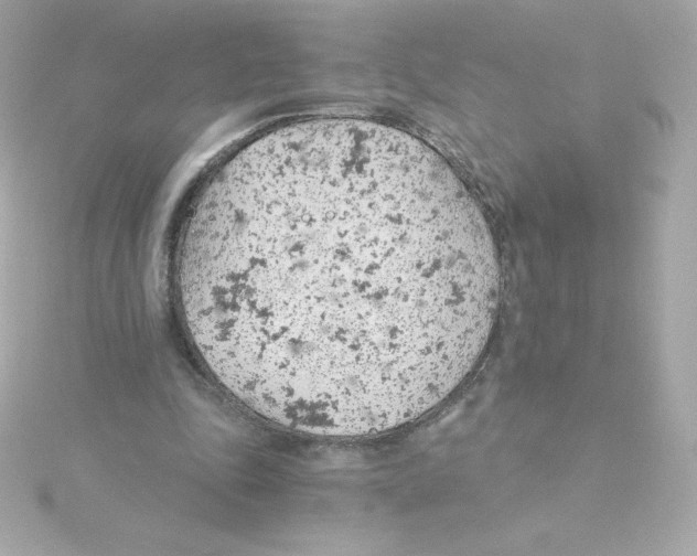 X0000115260343200911271930