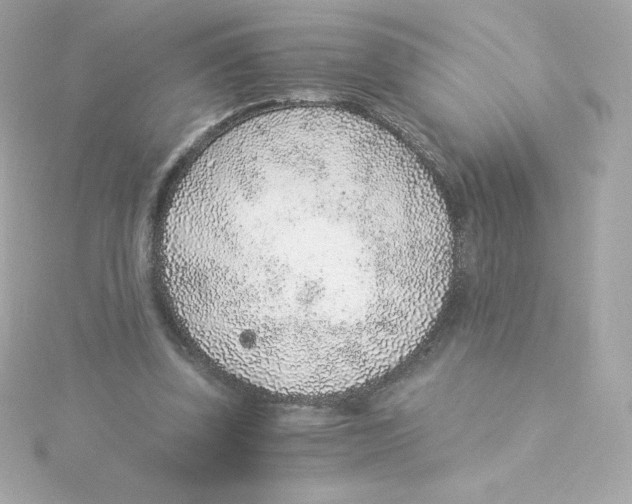 X0000115260347200911271930