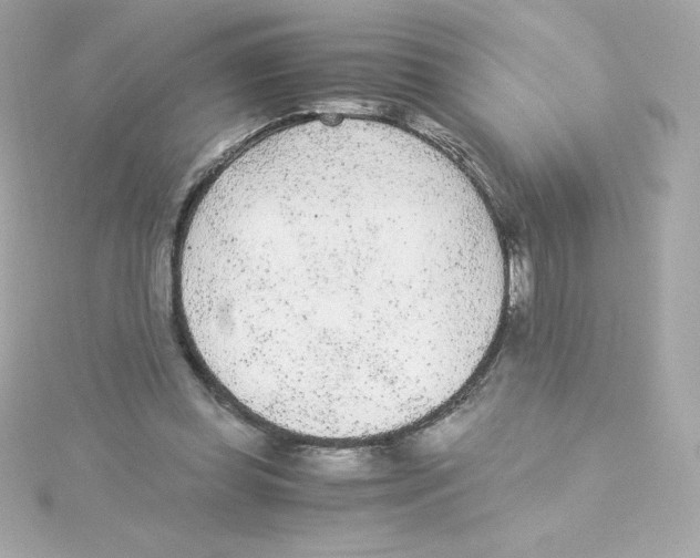 X0000115260349200911271930