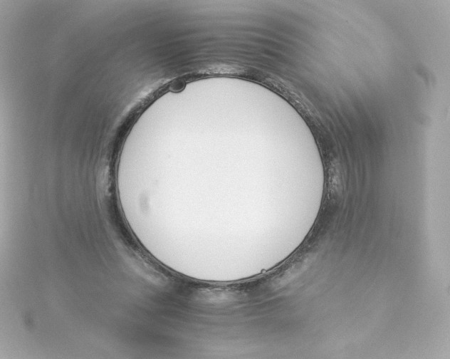 X0000115260351200911271930