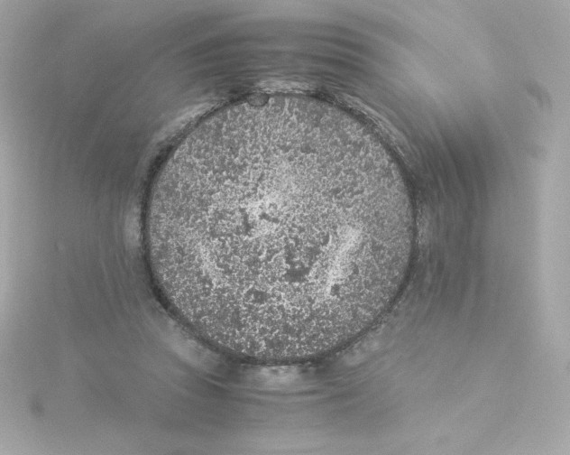 X0000115260353200911271930