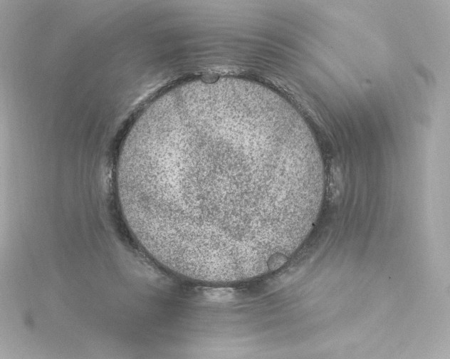 X0000115260355200911271930