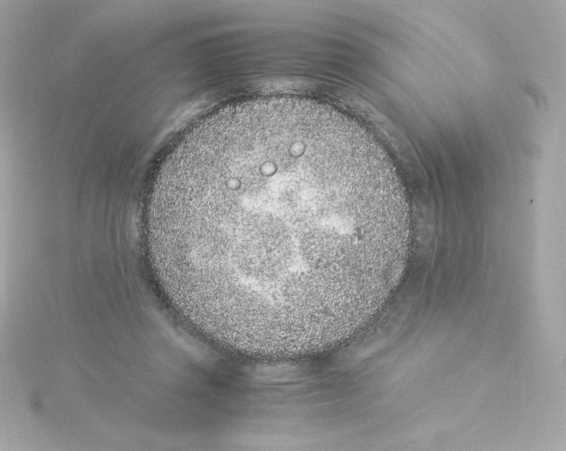 X0000115260357200911271930