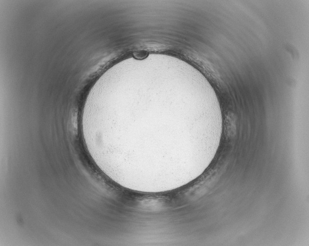 X0000115260358200911271930