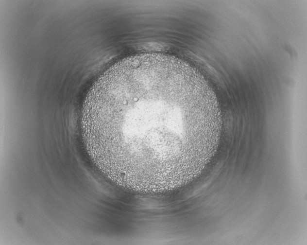 X0000115260359200911271930