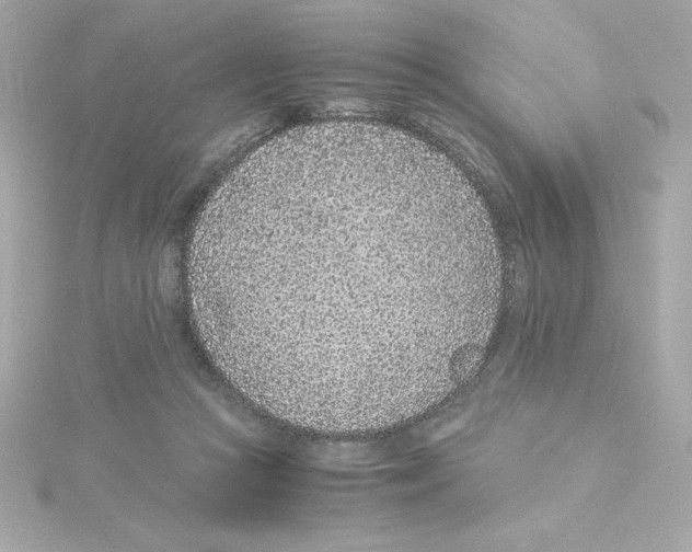 X0000115260361200911271930