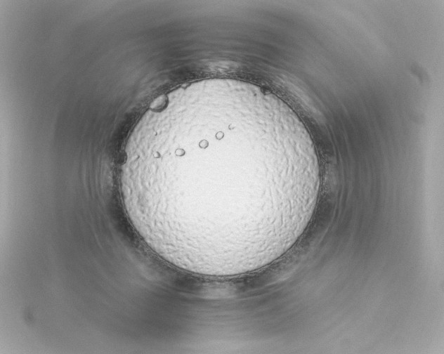 X0000115260363200911271930