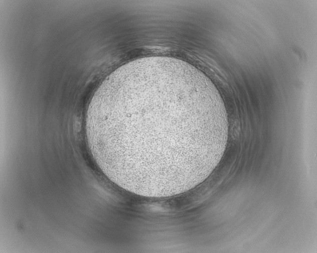 X0000115260365200911271930