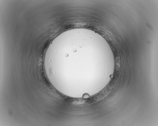 X0000115260369200911271930