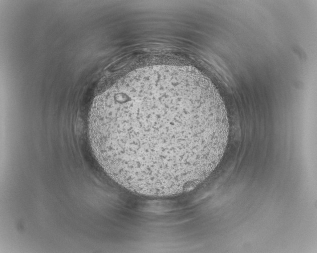 X0000115260371200911271930