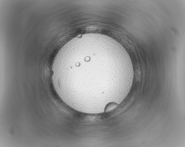 X0000115260375200911271930