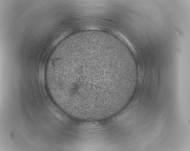 X0000115260386200911271930