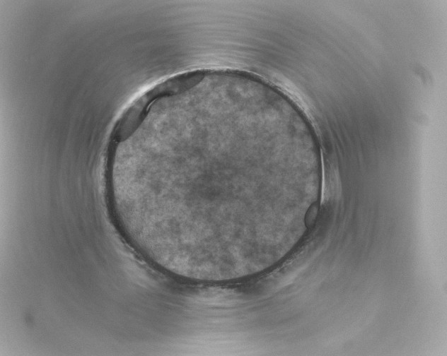 X0000115260387200911271930