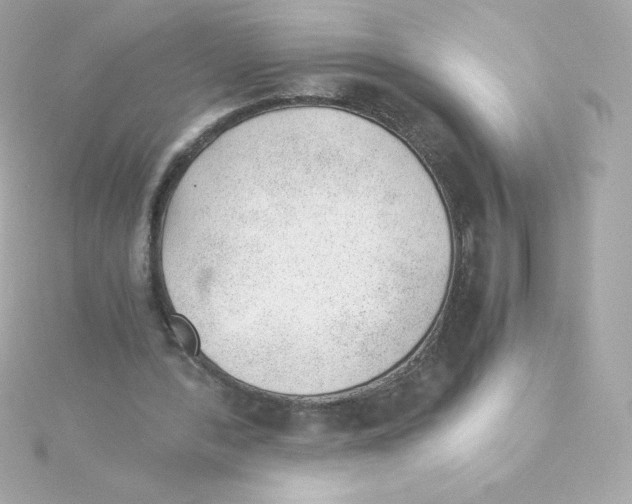 X0000115260388200911271930