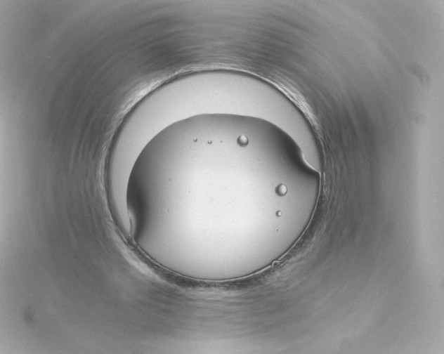 X0000115260389200911271930