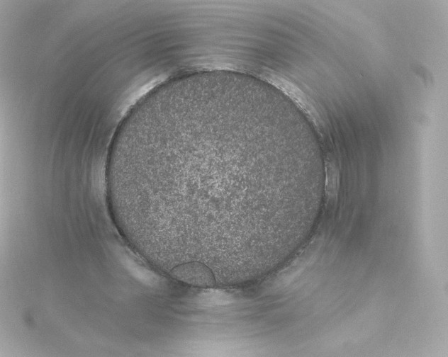 X0000115260390200911271930