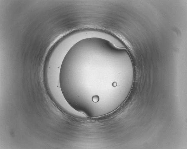 X0000115260391200911271930