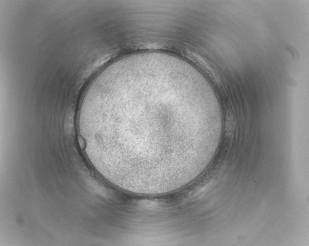 X0000115260394200911271930