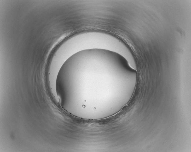 X0000115260395200911271930