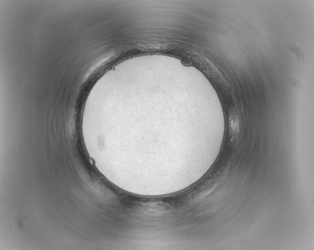 X0000115260396200911271930